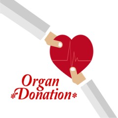 Law revision allows organ donation for braindead people with no family