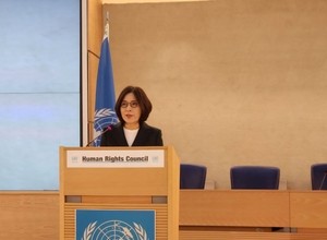 Vice FM highlights Russia-NK military ties exacerbating N. Korea's human rights situation