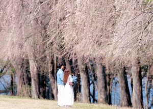 Festivals, sights across Korea