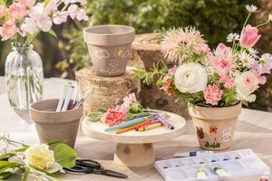 Packages and promotions