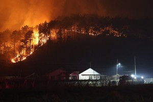 Govt. to reinforce measures to predict spread of wildfires