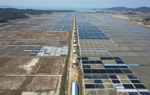 Sinan salt farm owner convicted of forced labor serving on county council: report