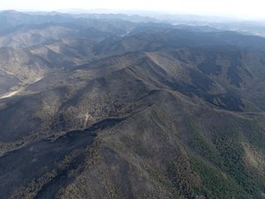 Actual damage from North Gyeongsang wildfires is 2 times govt. estimate