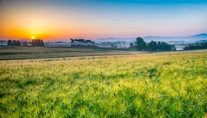 Festivals, sights across Korea