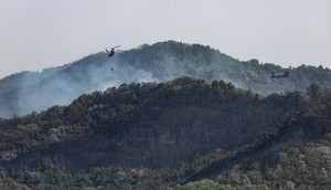 Wildfire in Daegu 92% contained: authorities