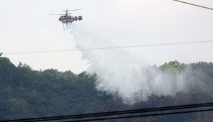 Main blaze in wildfire in Daegu contained