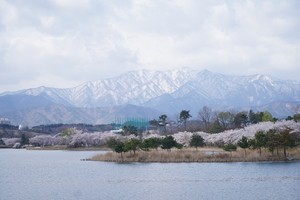 South Korea sees extreme temperature fluctuations in April