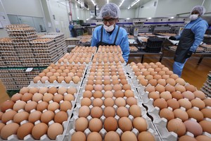 More South Korean eggs headed for US